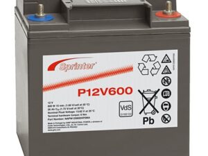 12 Volt 24 Ah Sprinter P12V600