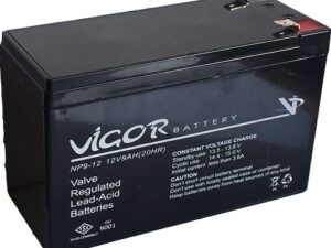 Vigor 12 V 9 AH Akü