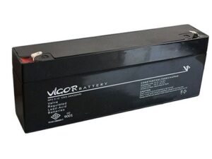 Vigor 12 V 2.3 AH Akü