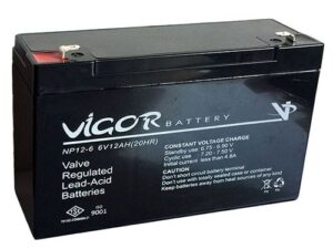 Vigor 6 V 12 AH Akü