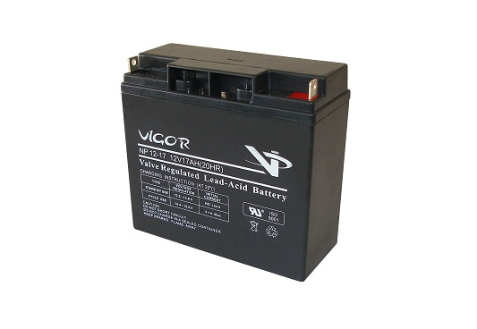 12 V 17 AH Vigor Akü