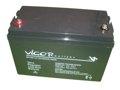 12 V 100 AH Vigor Akü